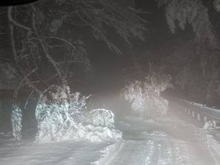 ディーゼルで積雪路 (画像サイズ: 538×404 68kB)